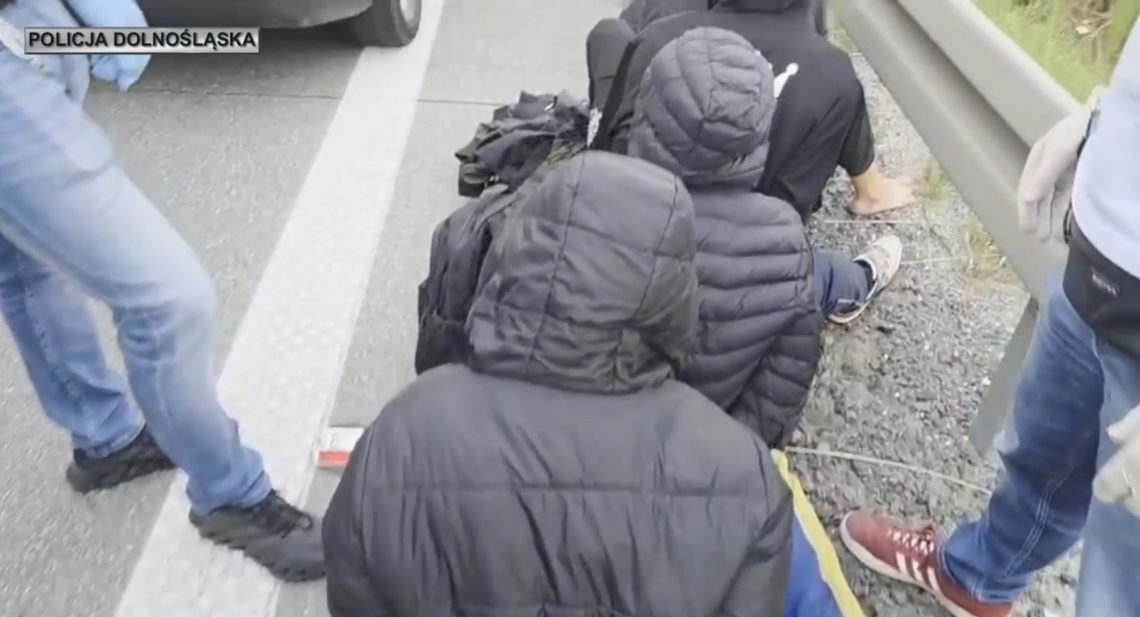 Policja udaremniła przewóz migrantów. Akcja na autostradzie [WIDEO]