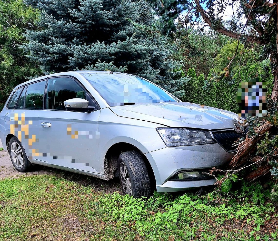 Uciekał przed radiowozem. Zatrzymał się dopiero na drzewie