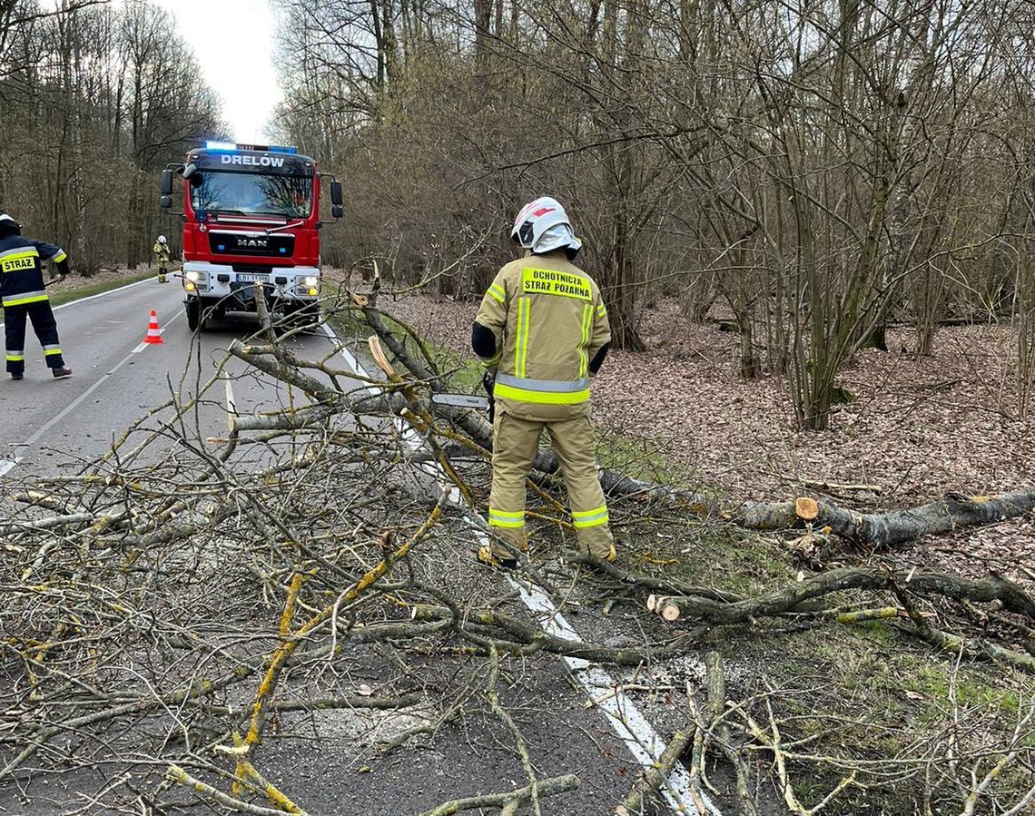 Powiało w weekend. Strażacy z pow. bialskiego interweniowali 21 razy Powiało w weekend. Strażacy z pow. bialskiego interweniowali 21 razy