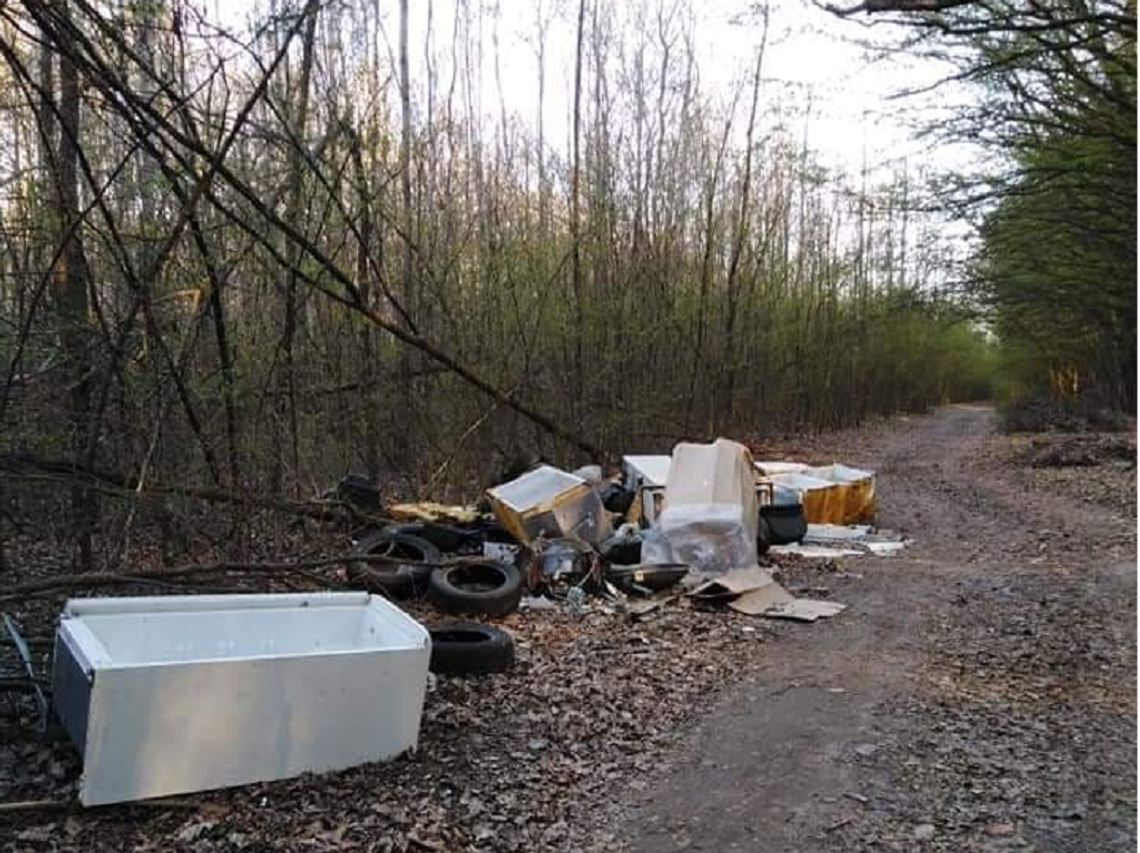 Powiat bialski: Nasze lasy toną w śmieciach