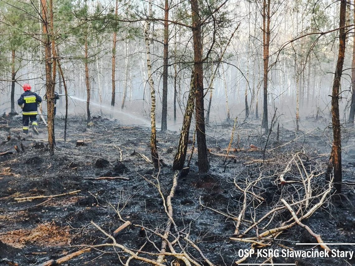 Powiat bialski: Znowu płonie las w Klonownicy Dużej