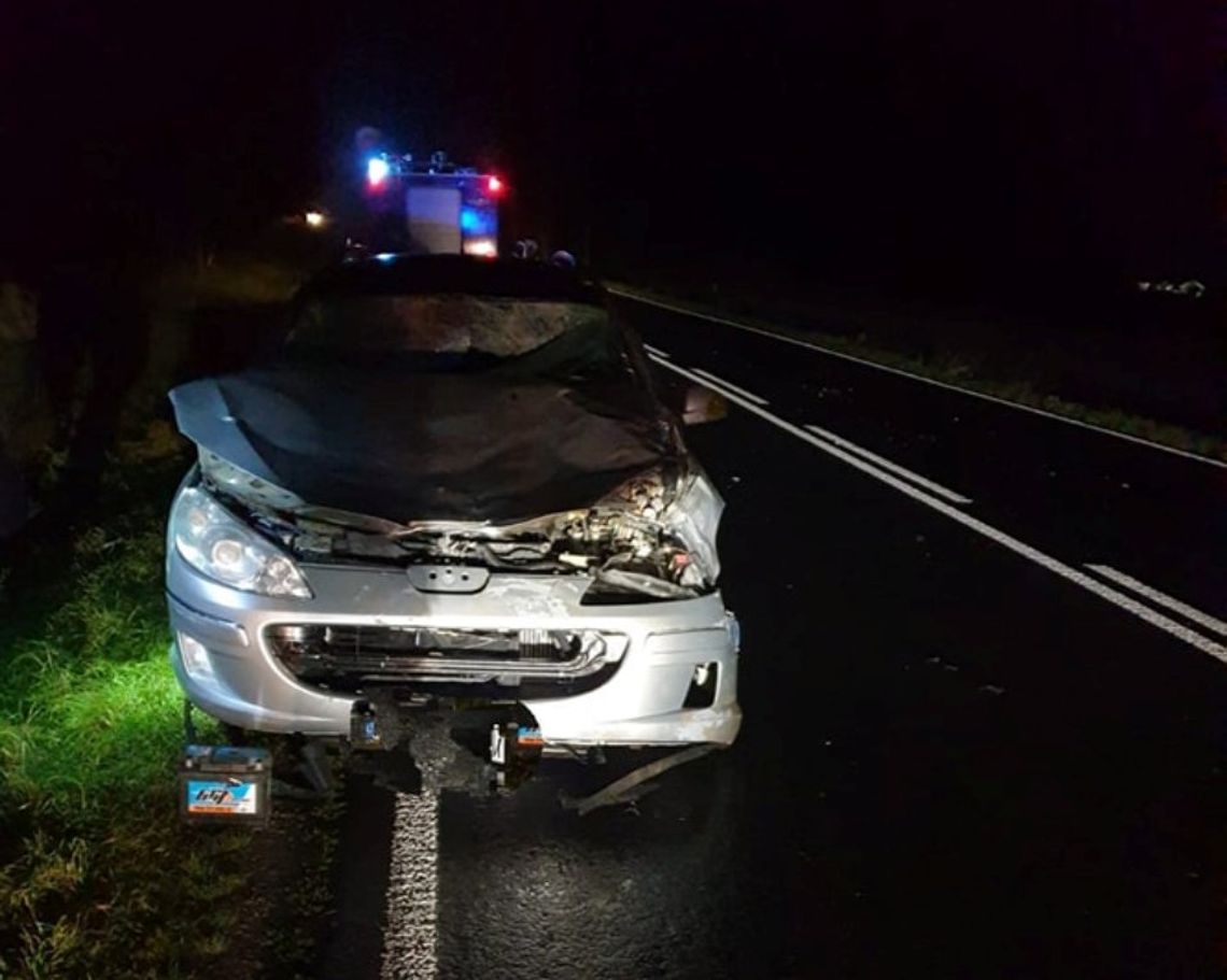 Powiat łosicki: Samochód osobowy zderzył się... z żubrem