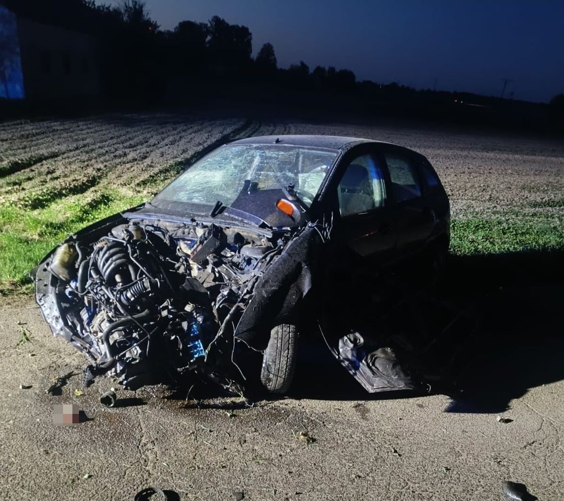 Powiat radzyński. Zakończył jazdę na płocie