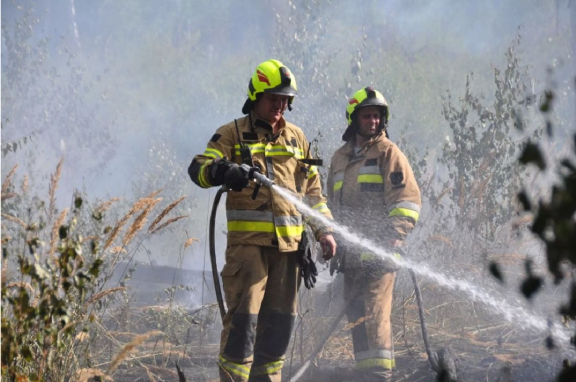 Pożar lasu w Komarnem. Strażacy walczyli z ogniem kilka dni