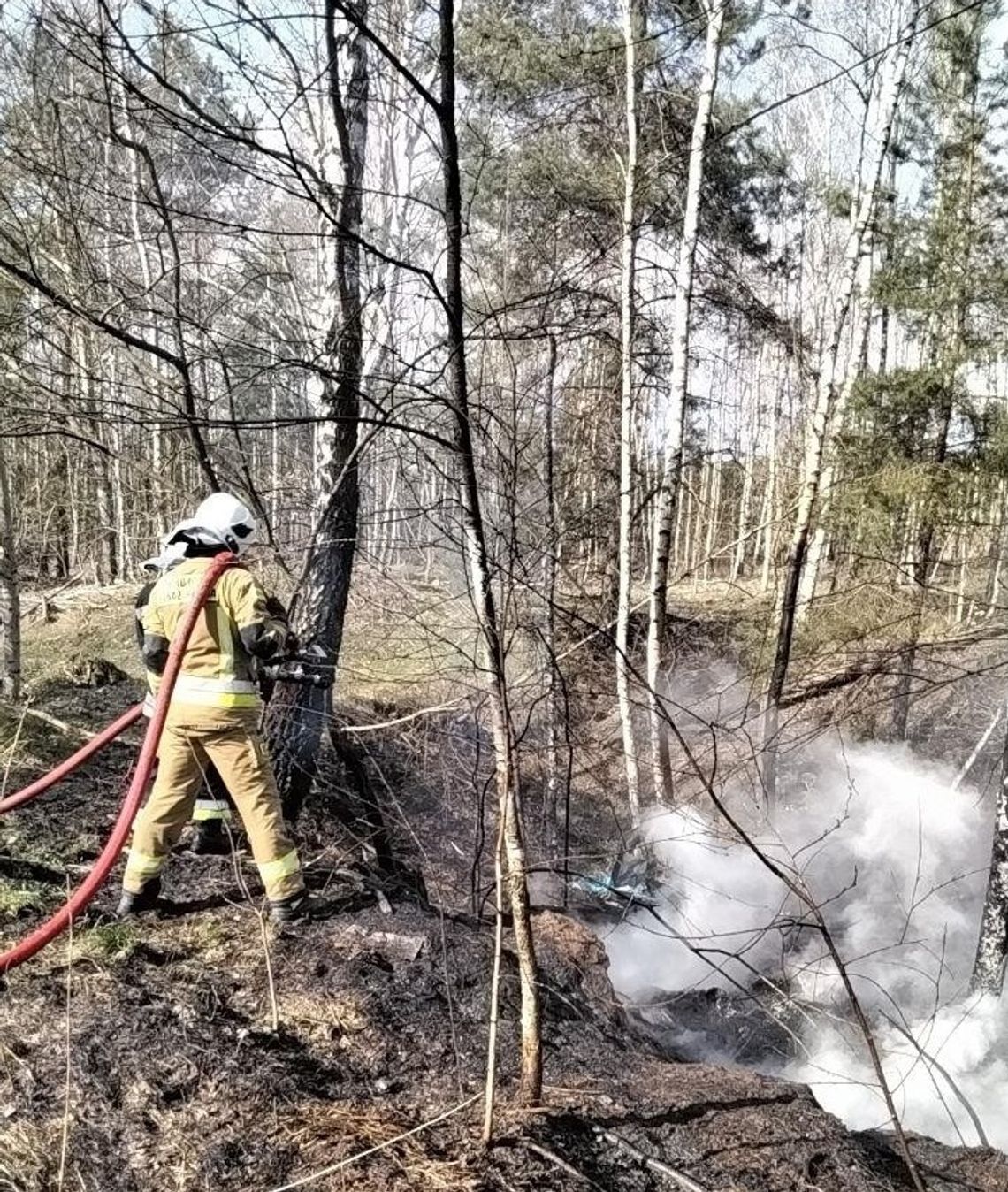 Pożar nielegalnego wysypiska w Sitnie. Płomienie sięgnęły lasu