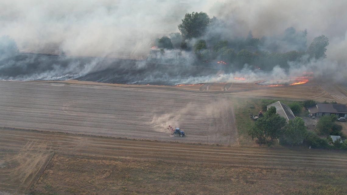 Pożar strawił Lasy Parczewskie. Strażacy walczyli z żywiołem przez całą noc [GALERIA ZDJĘĆ]