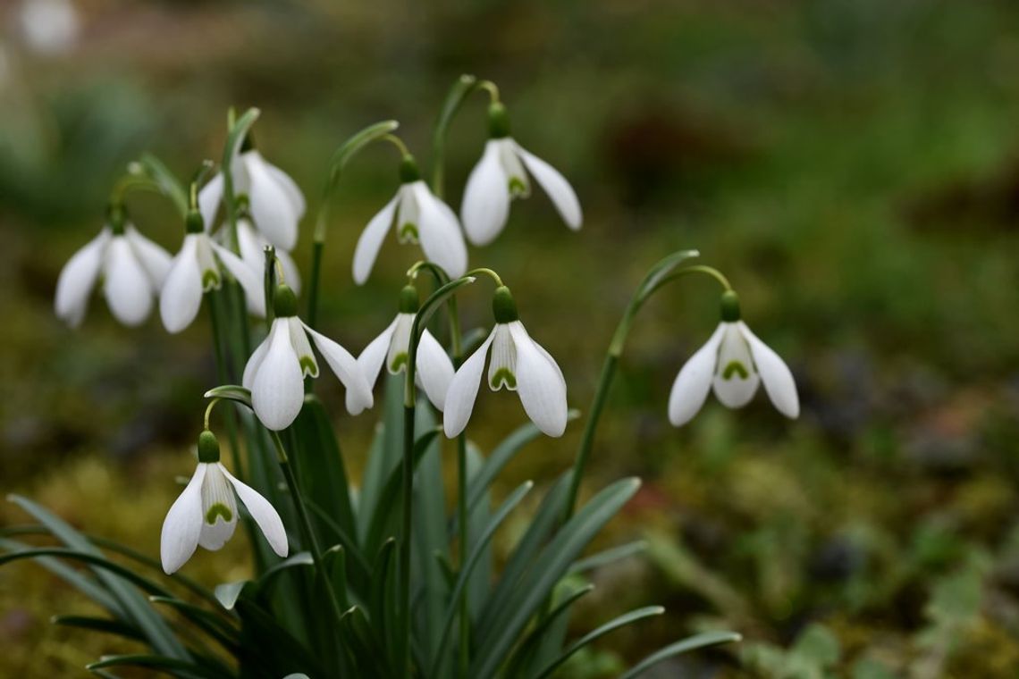 Prognoza pogody na czwartek