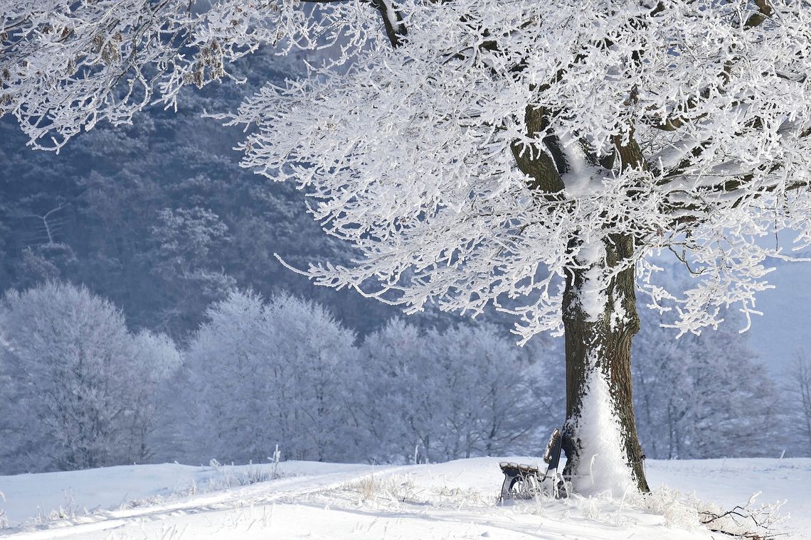 Prognoza pogody na czwartek. Popada śnieg, na drogach będzie ślisko