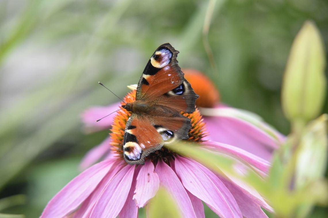 Prognoza pogody na poniedziałek