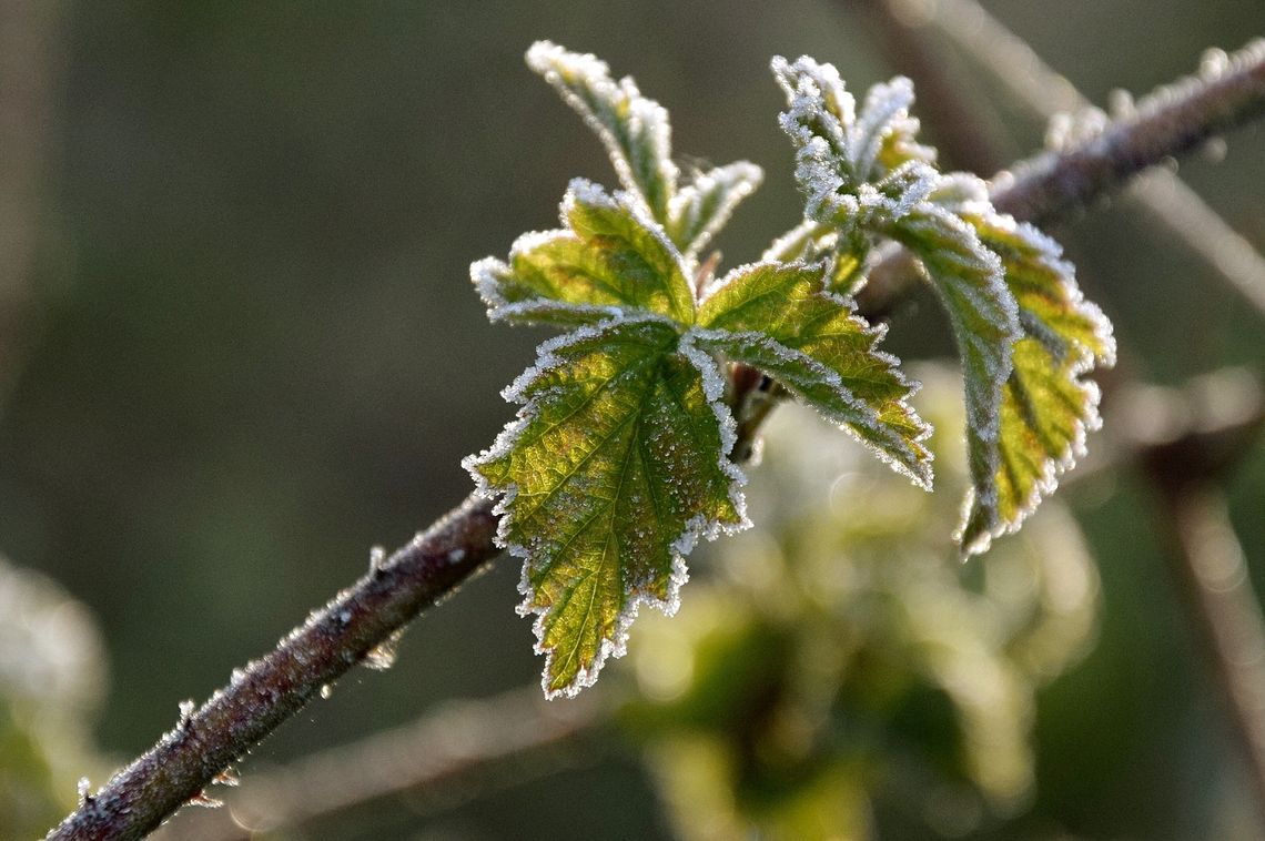 Prognoza pogody na środę. Sprawdź, jaka aura nas czeka