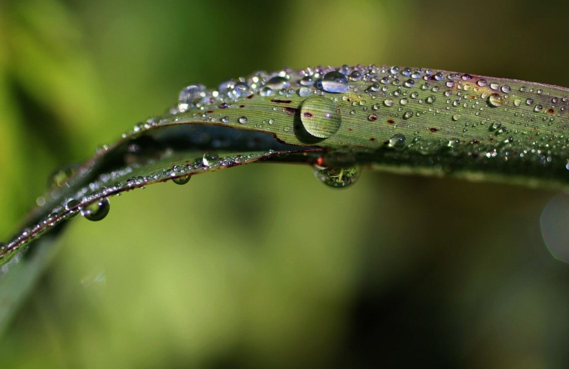 Prognoza pogody na weekend