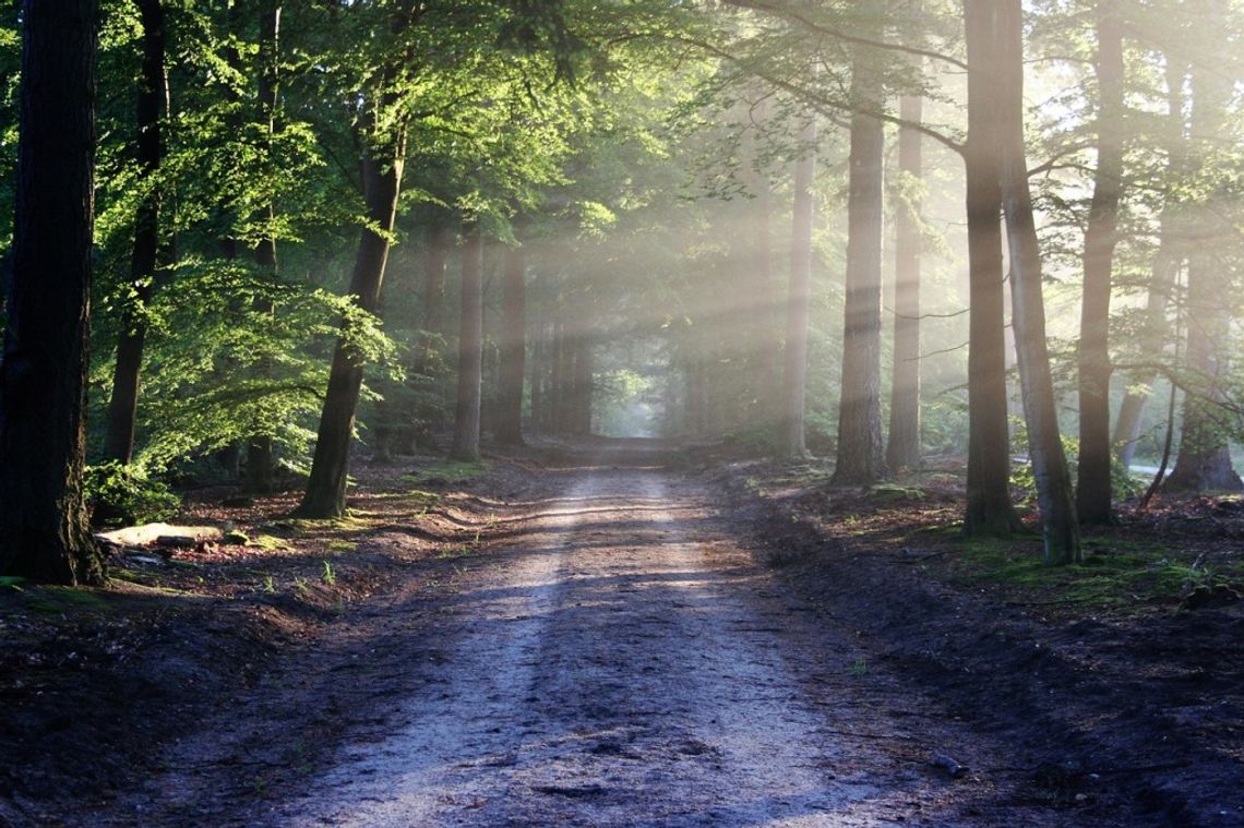 Prognoza pogody na weekend. Będzie słonecznie i ciepło