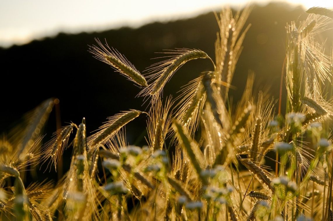 Prognoza pogody na weekend -sprawdź, jaka czeka nas aura