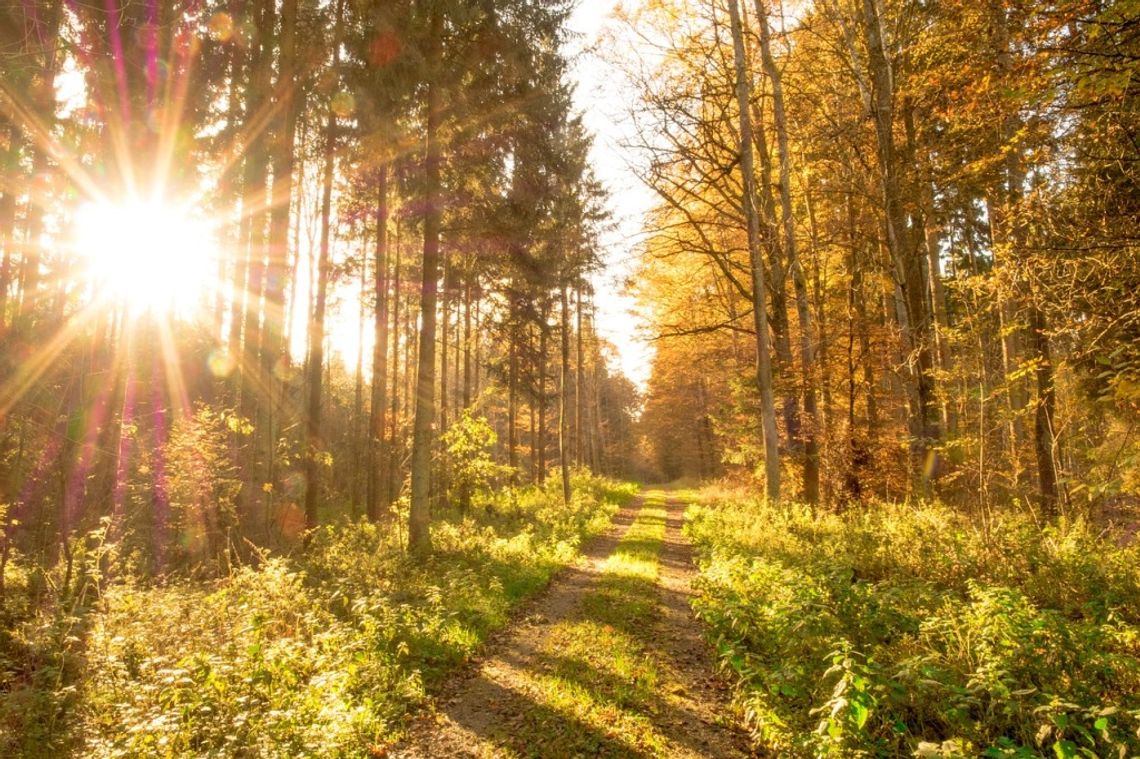 Prognoza pogody na weekend - sprawdź, jaka czeka nas aura