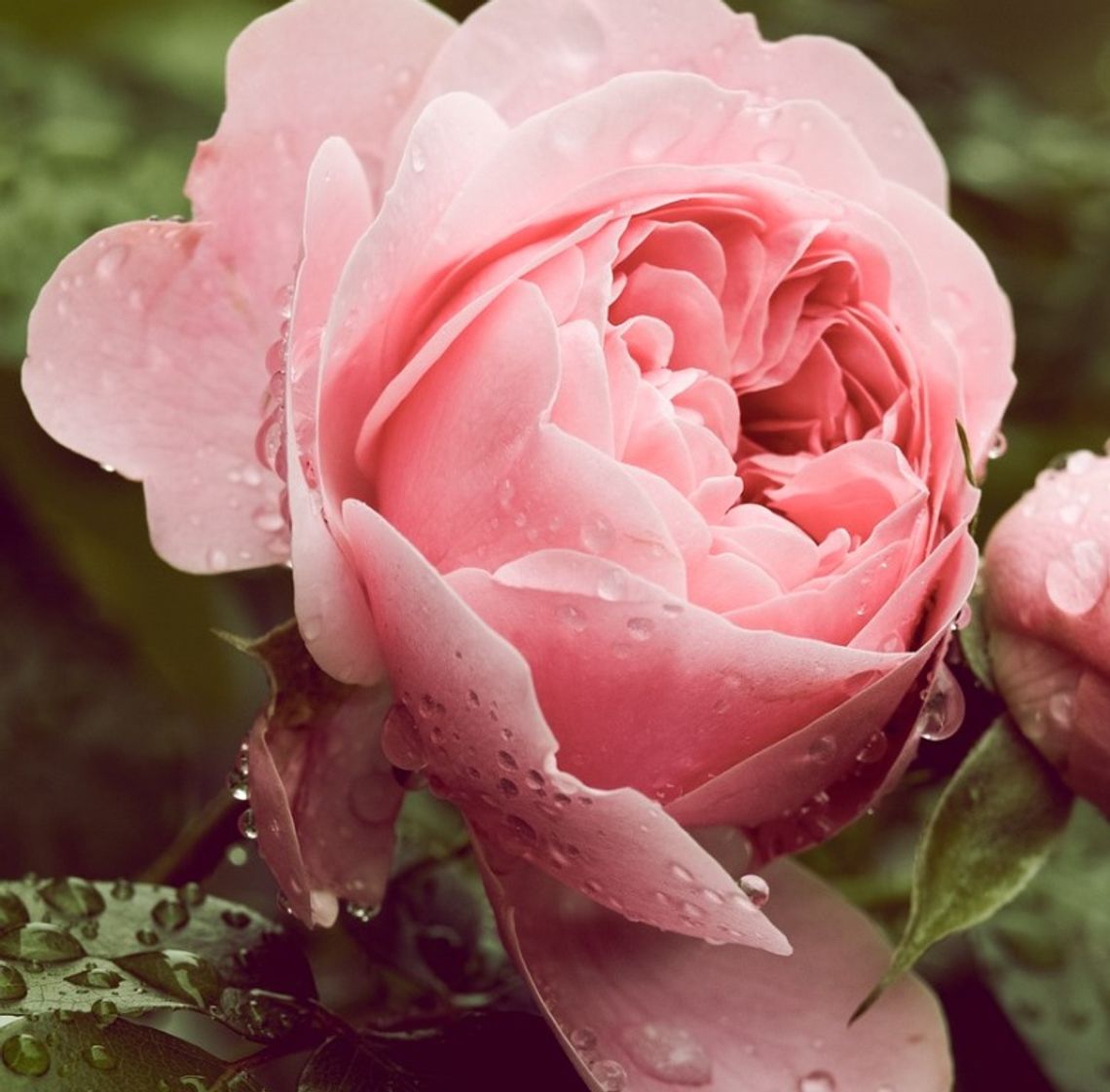 Prognoza pogody na wtorek