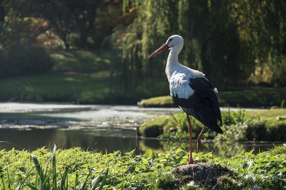 Prognoza pogody na wtorek. Sprawdź, jaka będzie aura