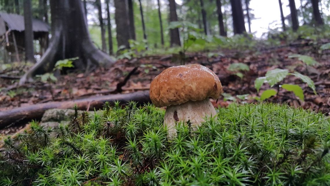 Prognoza pogody na wtorek. Sprawdź, jaka będzie aura