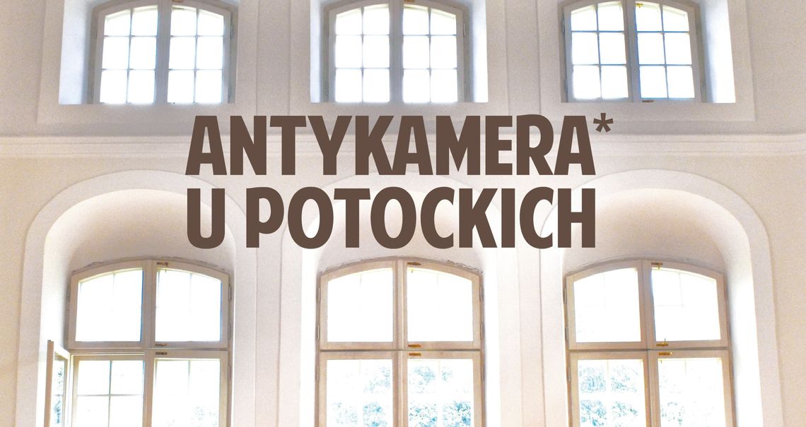 Propozycja dla młodych – antykamera u Potockich