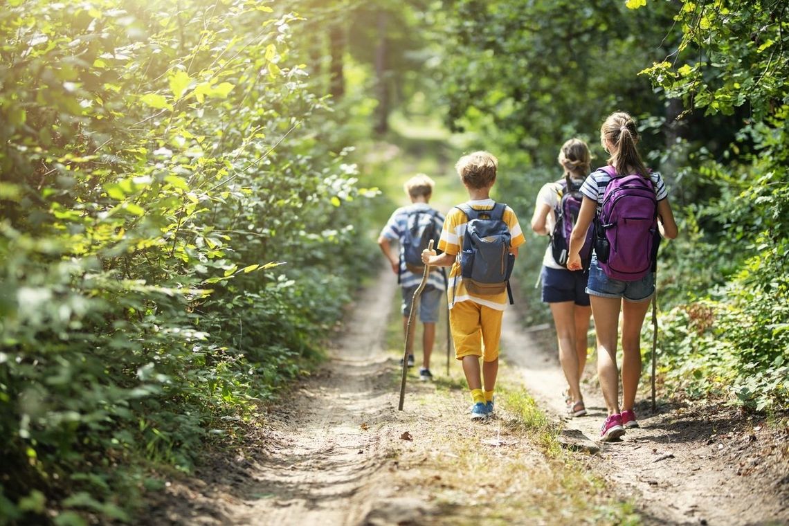 Przedszkolaki uczą... jak poprawnie wypróżnić się w lesie