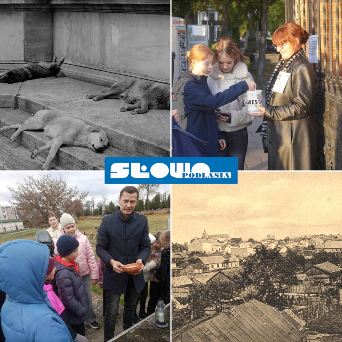 Przegląd informacji z 1 i 2 listopada 2025. Biała Podlaska, Międzyrzec Podlaski, Radzyń Podlaski, Łosice