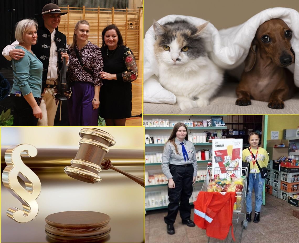 Przegląd informacji z 10 marca 2026. Biała Podlaska, Międzyrzec Podlaski, Łosice, Radzyń Podlaski