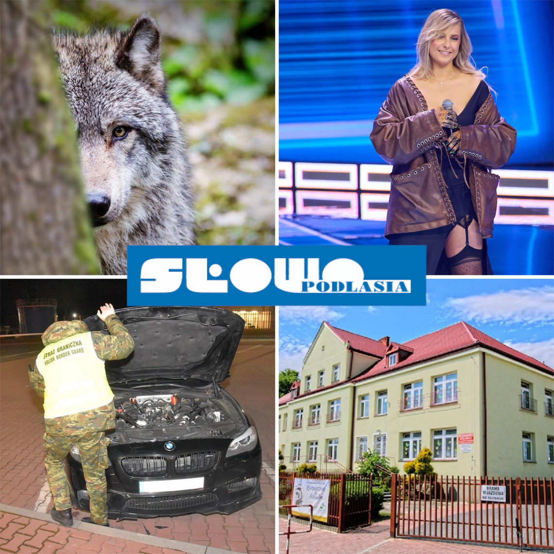 Przegląd informacji z 12 marca 2026. Biała Podlaska, Międzyrzec Podlaski, Łosice, Parczew