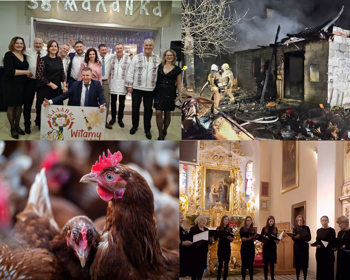 Przegląd informacji z 12 stycznia 2026 r. Biała Podlaska, Międzyrzec Podlaski, Łosice, Parczew, Łuków