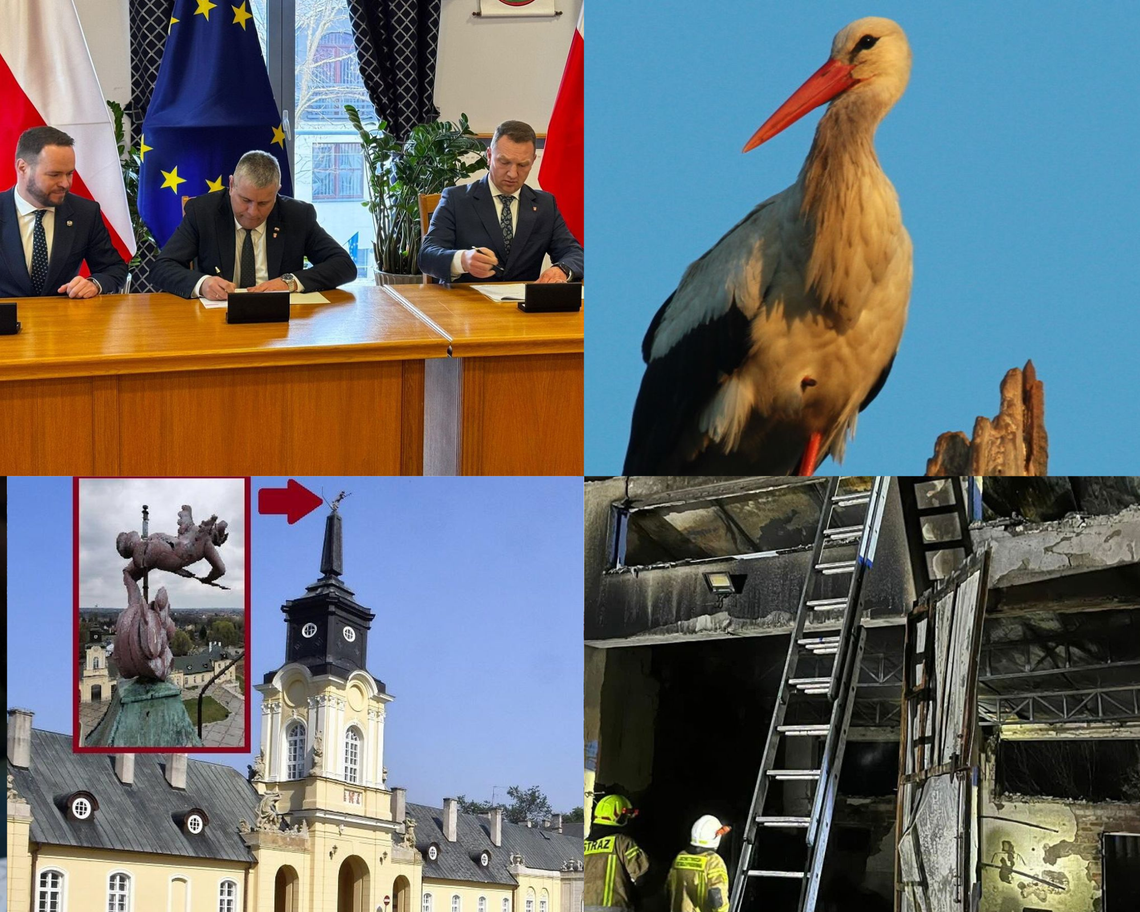 Przegląd informacji z 15 kwietnia 2026. Biała Podlaska, Międzyrzec Podlaski, Łosice, Parczew