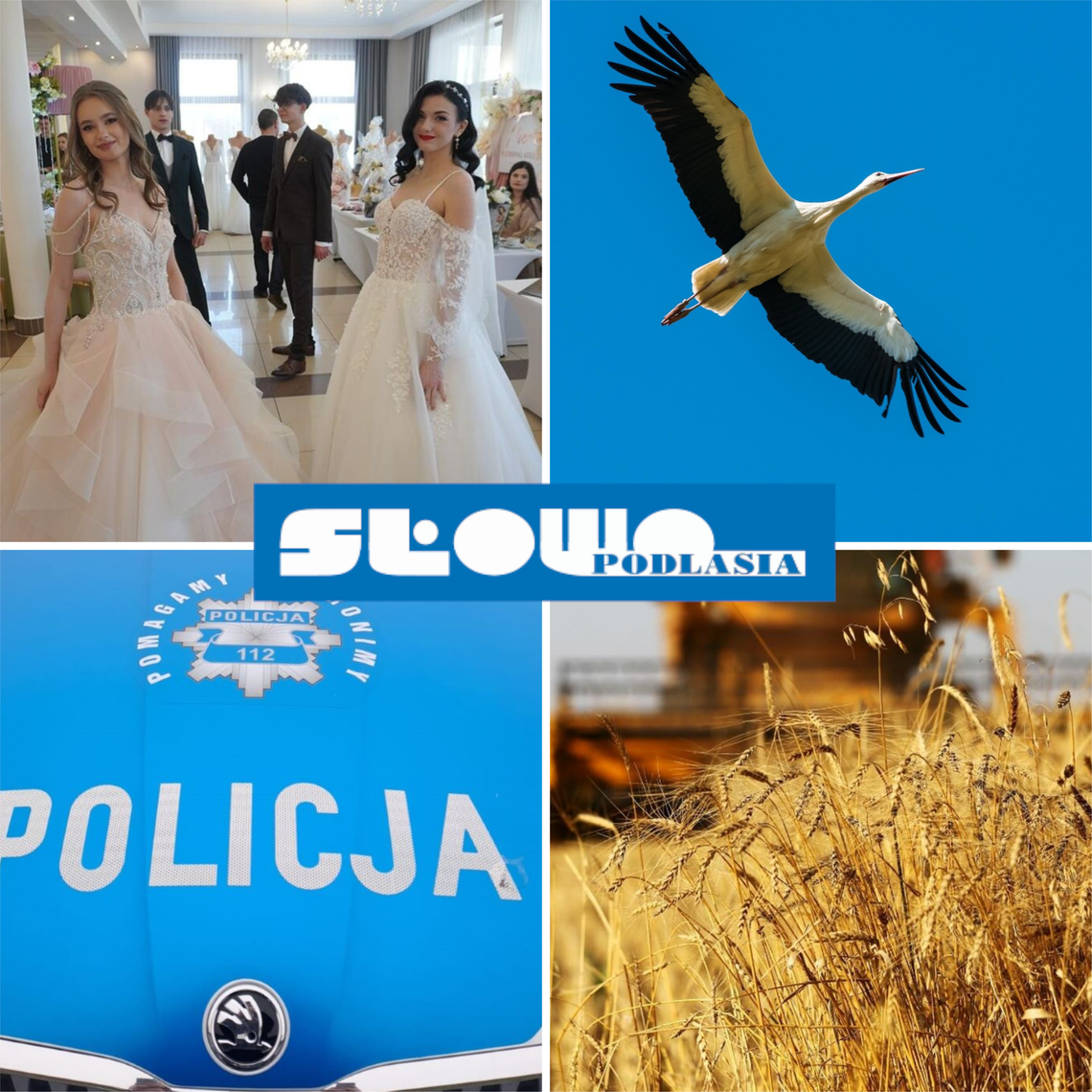 Przegląd informacji z 16 marca 2026. Biała Podlaska, Międzyrzec Podlaski, Łosice, Parczew