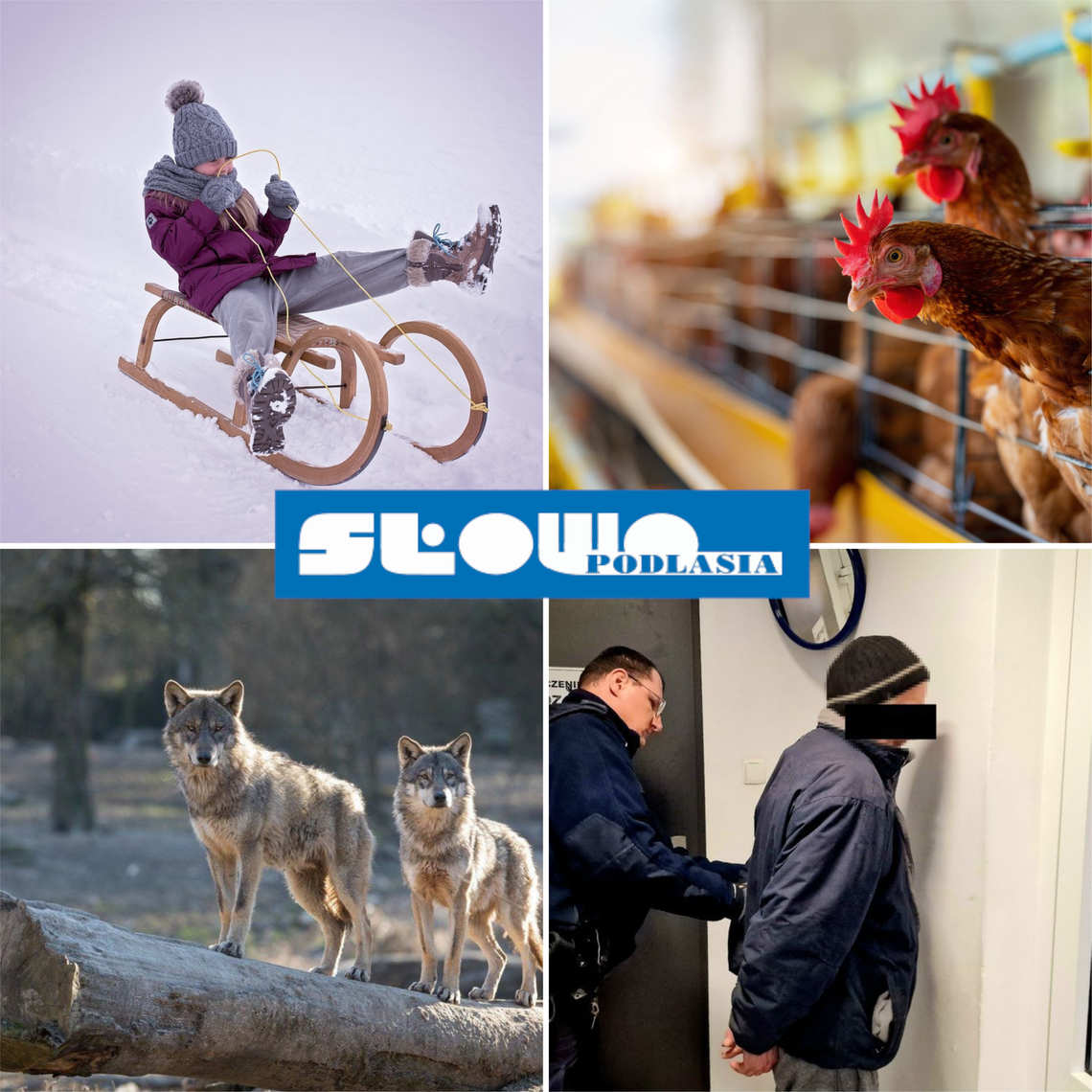 Przegląd informacji z 16 stycznia 2026. Biała Podlaska, Międzyrzec Podlaski, Łosice, Parczew