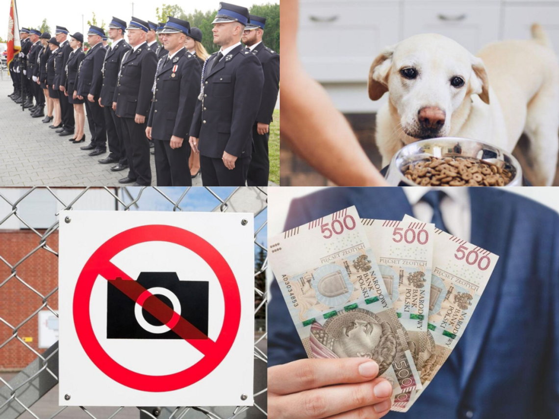 Przegląd informacji z 19 i 20 lipca. Biała Podlaska, Międzyrzec Podlaski, Radzyń Podlaski, Terespol