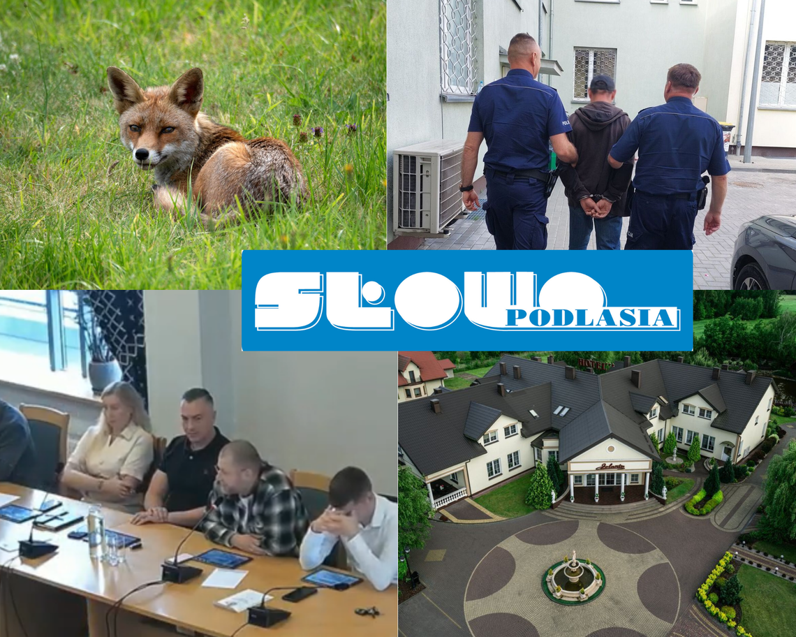 Przegląd informacji z 20 sierpnia 2026. Biała Podlaska, Międzyrzec Podlaski, Łosice, Parczew Przegląd informacji z 20 sierpnia 2026. Biała Podlaska, Międzyrzec Podlaski, Łosice, Parczew