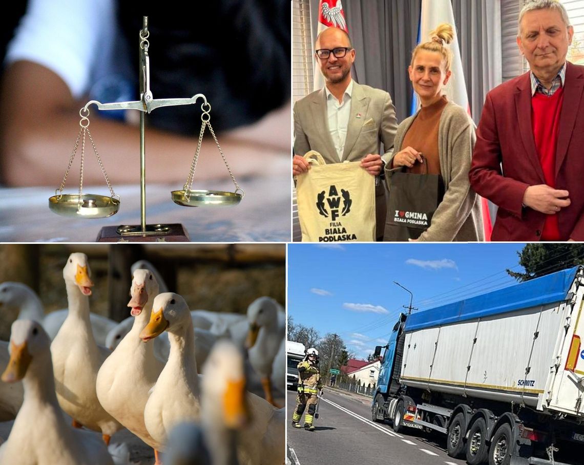 Przegląd informacji z 21 kwietnia 2026. Biała Podlaska, Międzyrzec Podlaski, Łosice, Parczew