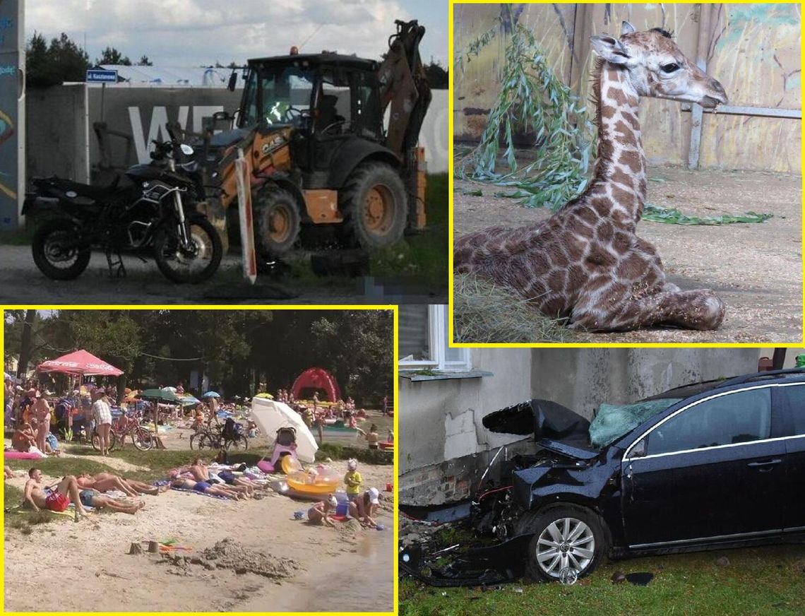 Przegląd informacji z 22 lipca 2025. Biała Podlaska, Międzyrzec Podlaski, Radzyń Podlaski, Terespol