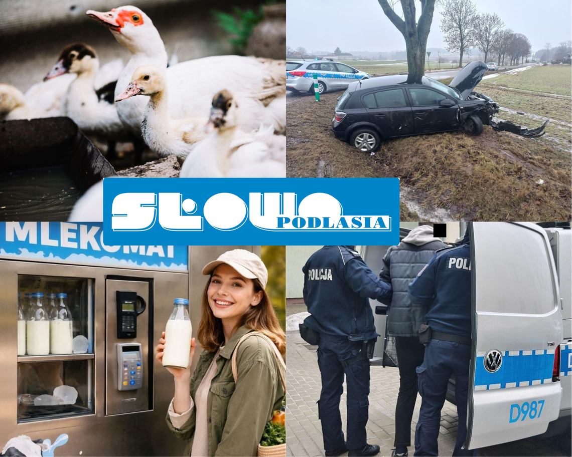 Przegląd informacji z 23 lutego 2026. Biała Podlaska, Międzyrzec Podlaski, Łosice, Parczew