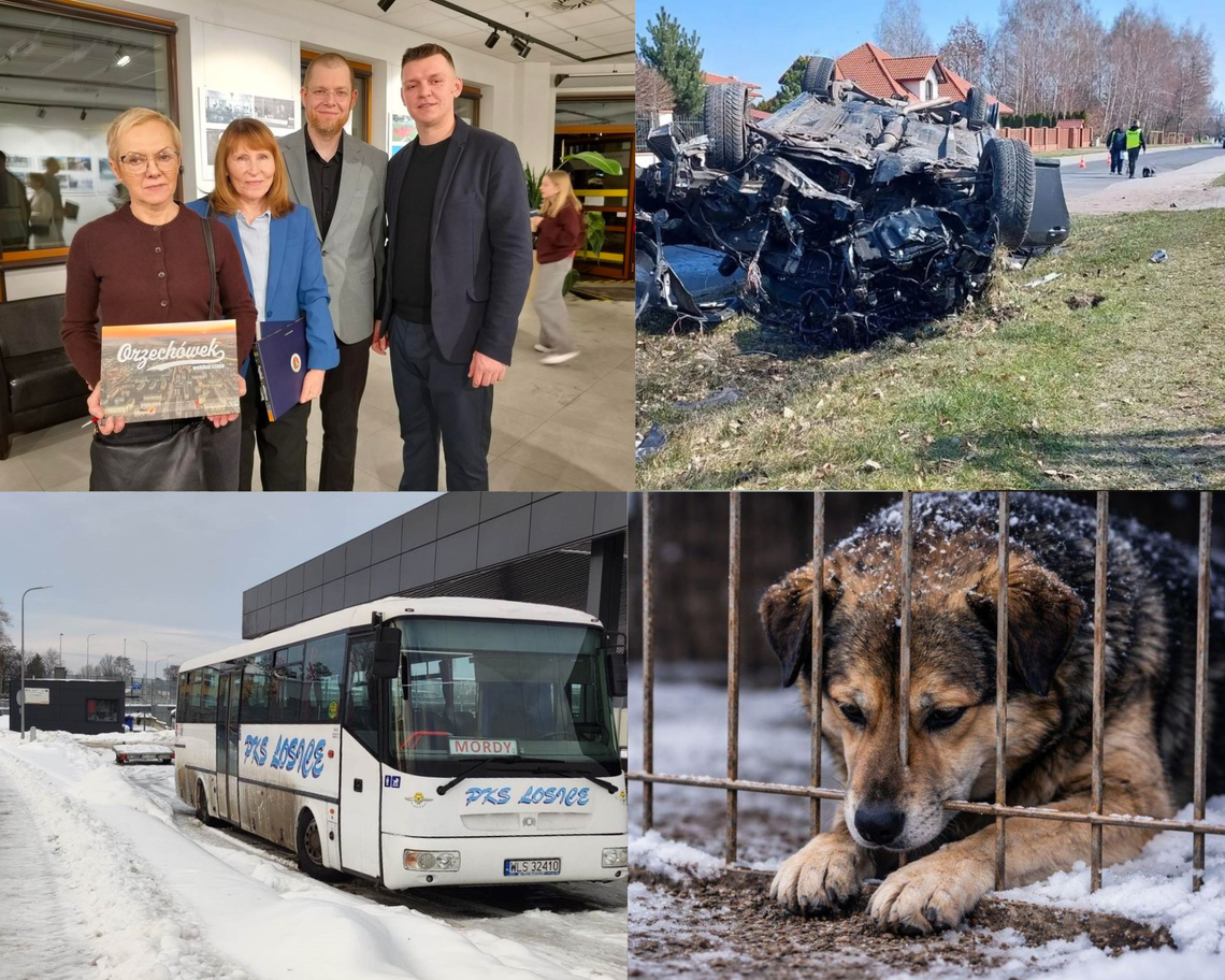 Przegląd informacji z 23 stycznia 2026. Biała Podlaska, Międzyrzec Podlaski, Łosice, Parczew