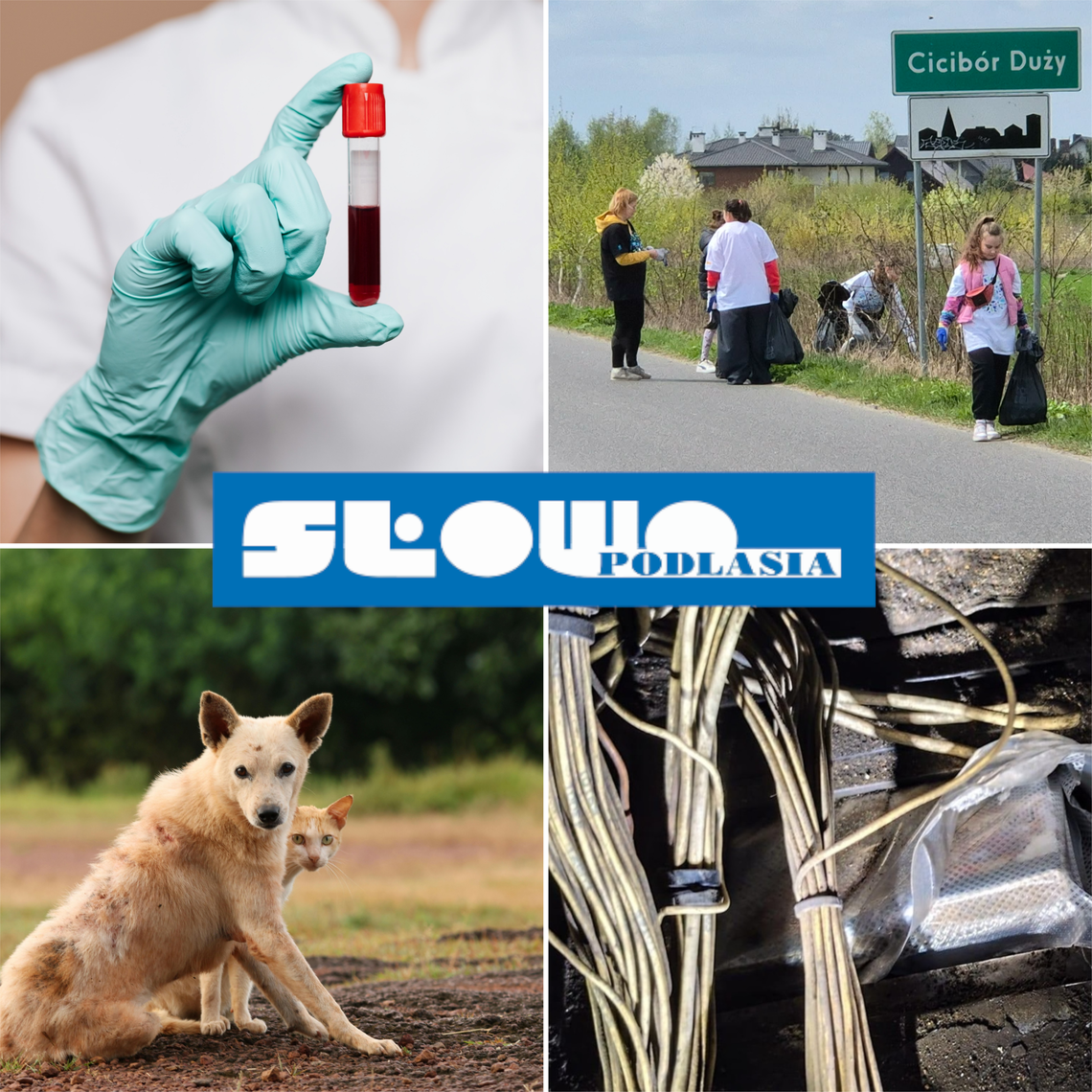 Przegląd informacji z 27 kwietnia 2026. Biała Podlaska, Międzyrzec Podlaski, Łosice, Parczew