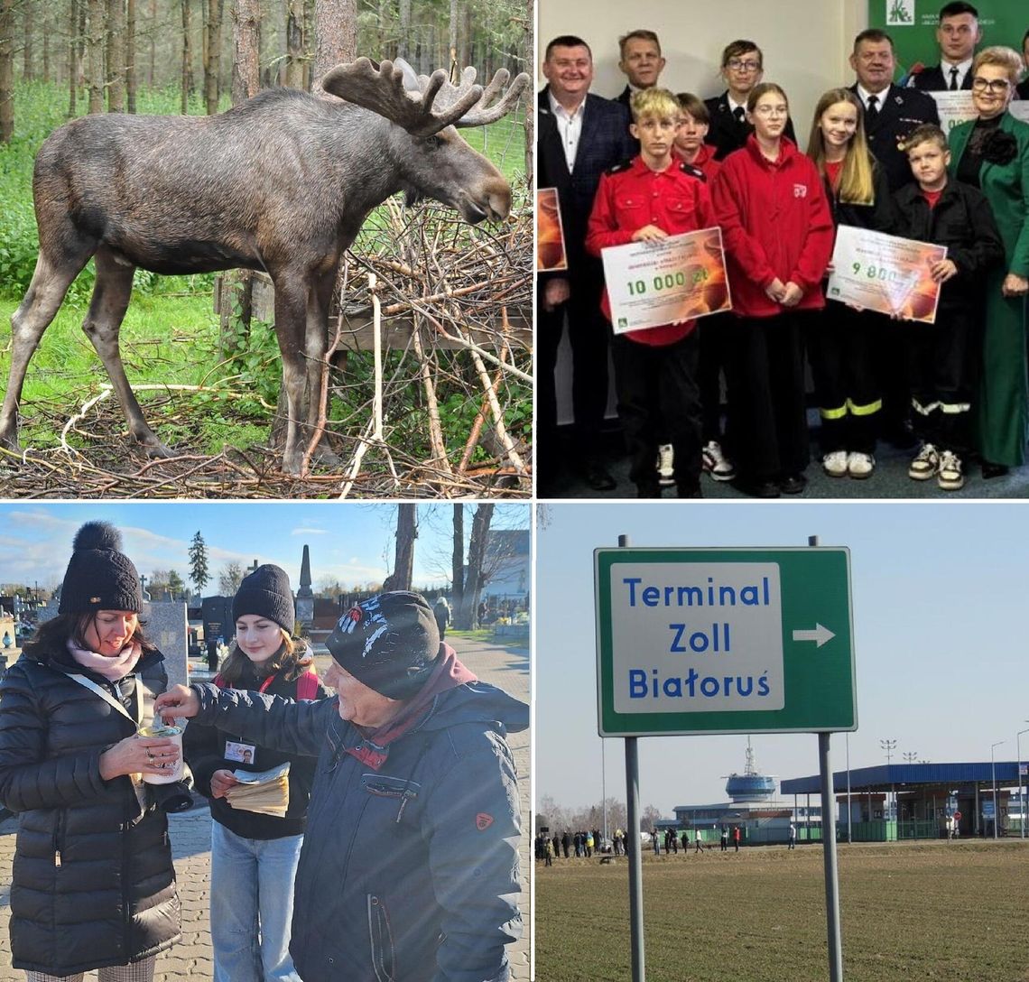 Przegląd informacji z 4 listopada 2025. Biała Podlaska, Międzyrzec Podlaski, Radzyń Podlaski, Łosice Przegląd informacji z 4 listopada 2025. Biała Podlaska, Międzyrzec Podlaski, Radzyń Podlaski, Łosice