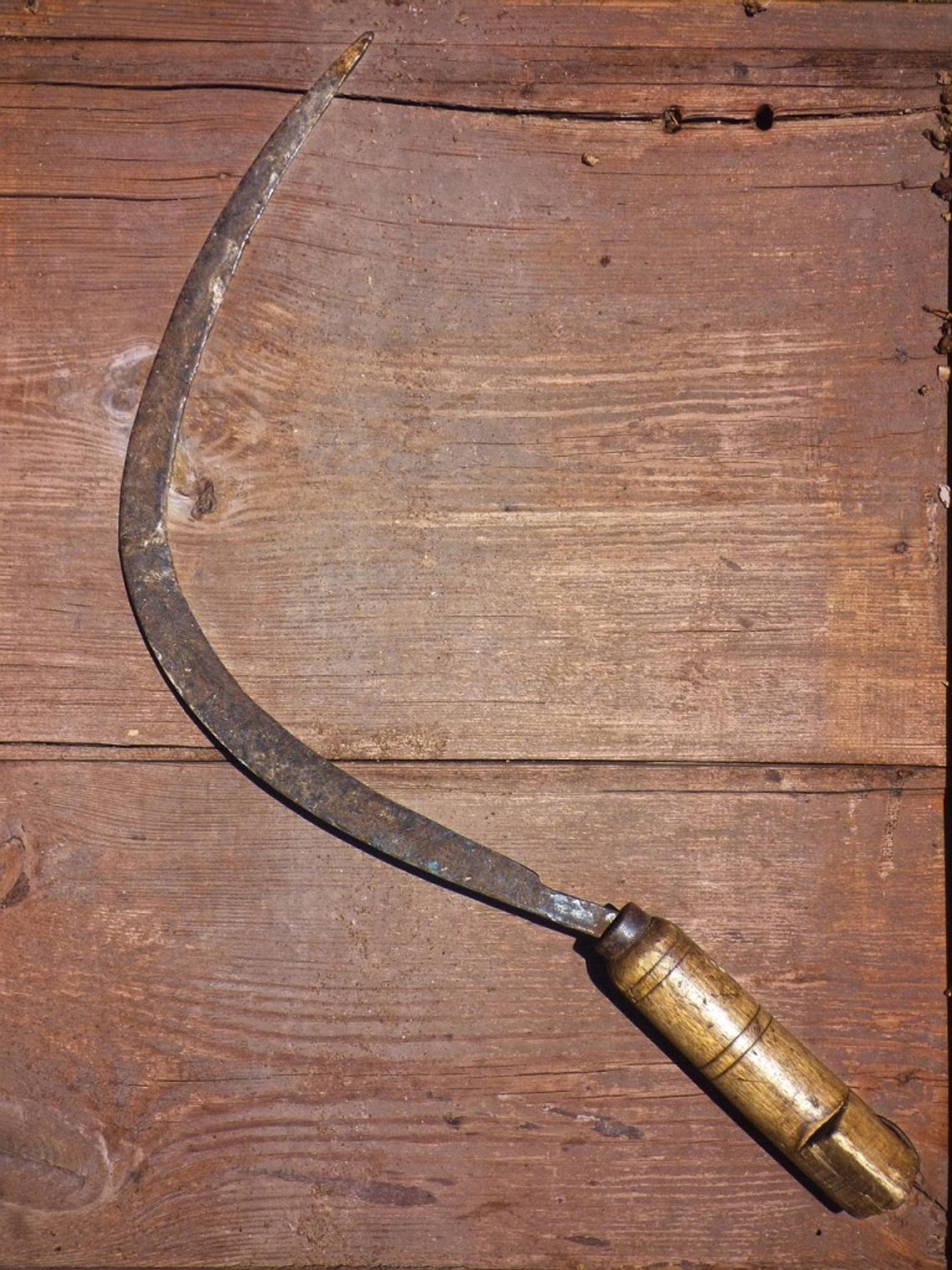 Biała Podlaska. Przyszedł z sierpem do urzędu