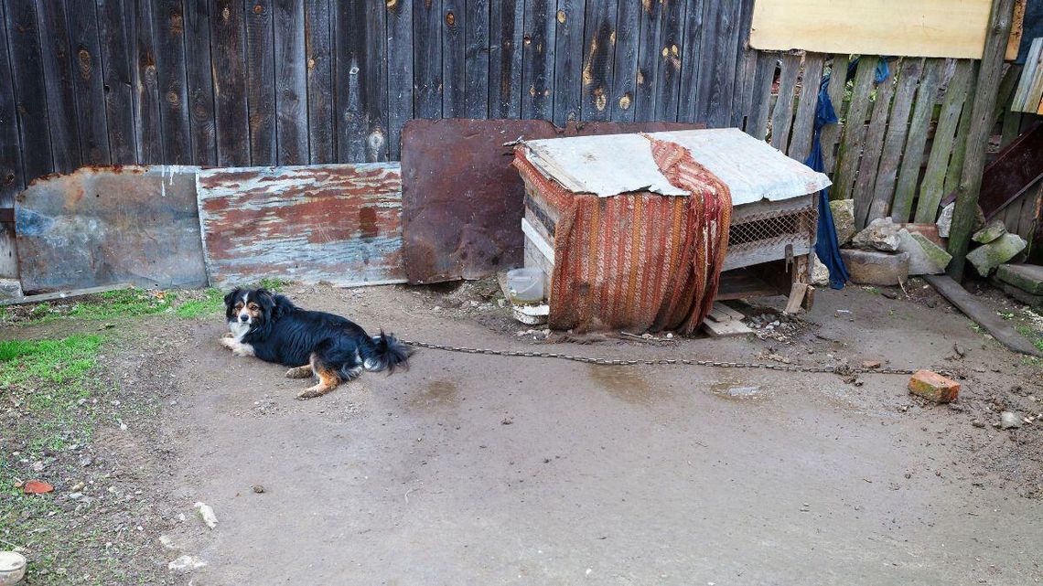 Nie każdemu podoba się nowe prawo