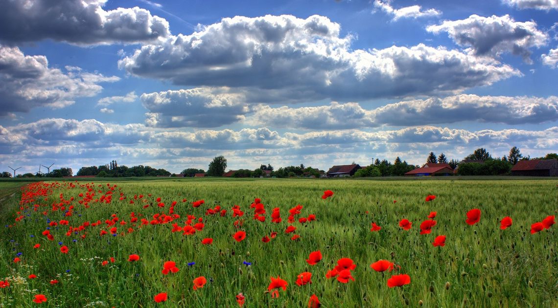 Raczej słonecznie, ale może zagrzmieć. Sprawdź pogodę na Boże Ciało