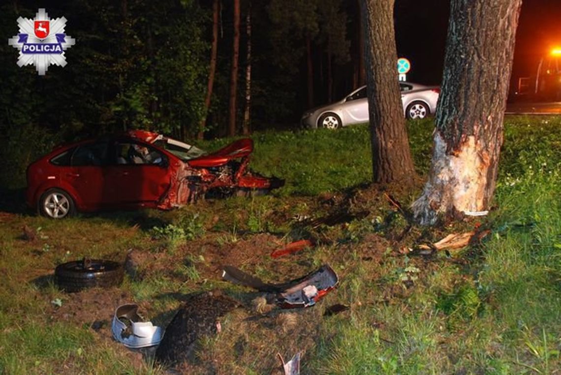 Radzyń Podlaski: Łoś wyskoczył, samochód uderzył w drzewo