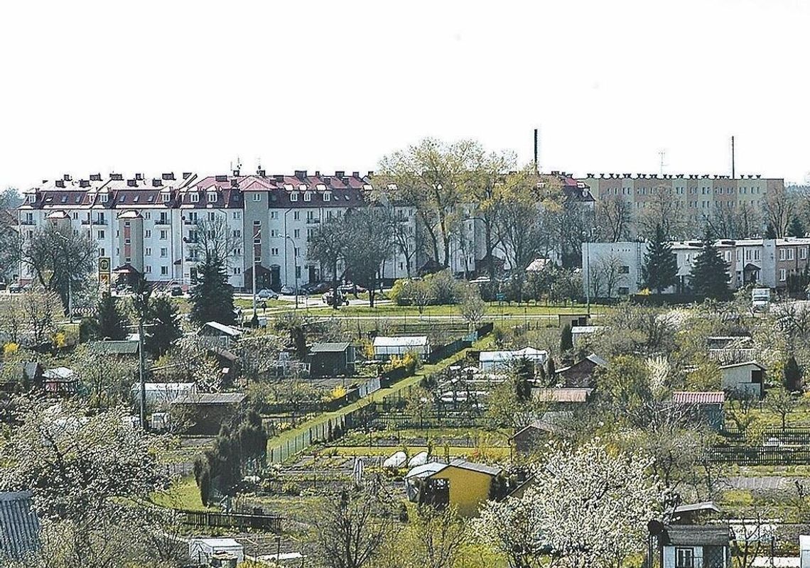 RADZYŃ PODLASKI: Mieszkania na wynajem nawet nie na papierze