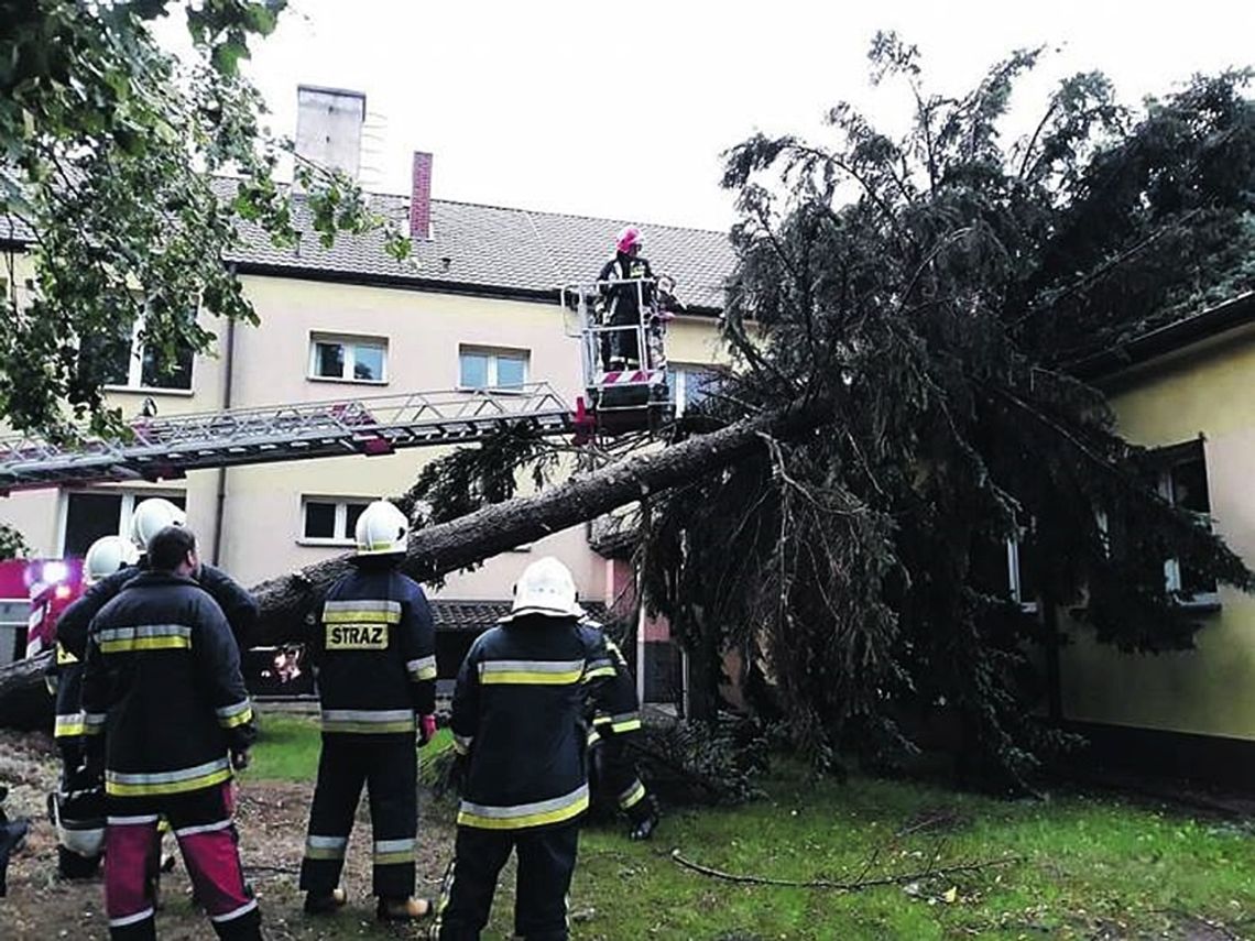 Raport: Nawałnica wyrywała drzewa i zrywała dachy