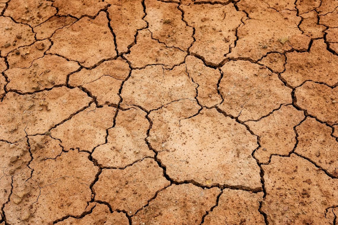 Raport: Ziemia sucha jak pieprz, deszczu wciąż za mało