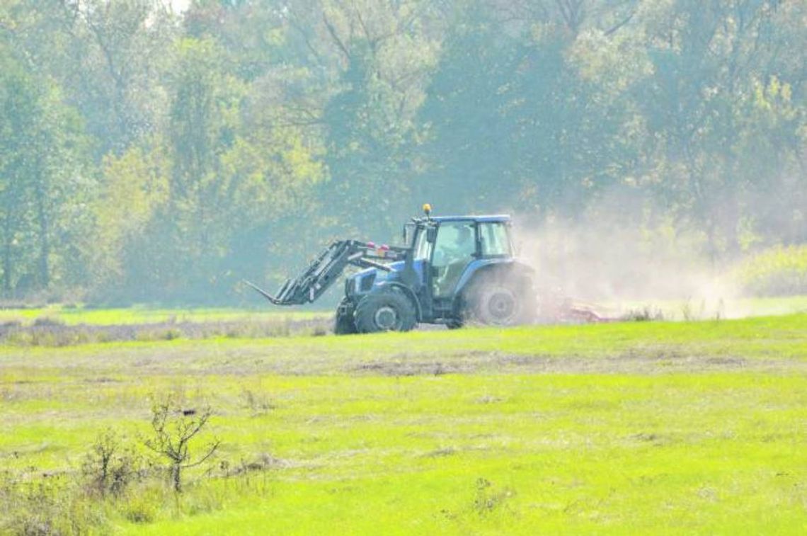 Region: Termin składania wniosków suszowych wydłużony