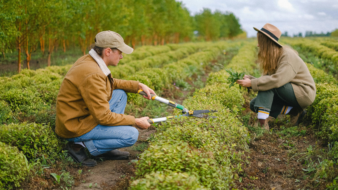 Dziś w Polsce zarobimy prawie tyle samo