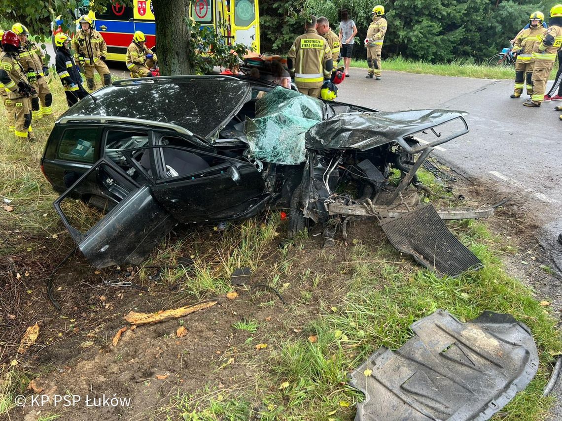 Samochód uderzył w drzewo, dwie osoby w szpitalu [ZDJĘCIA]