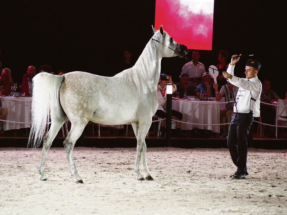 Ta gmina chce się mocno wypromować. Organizuje specjalne spotkanie