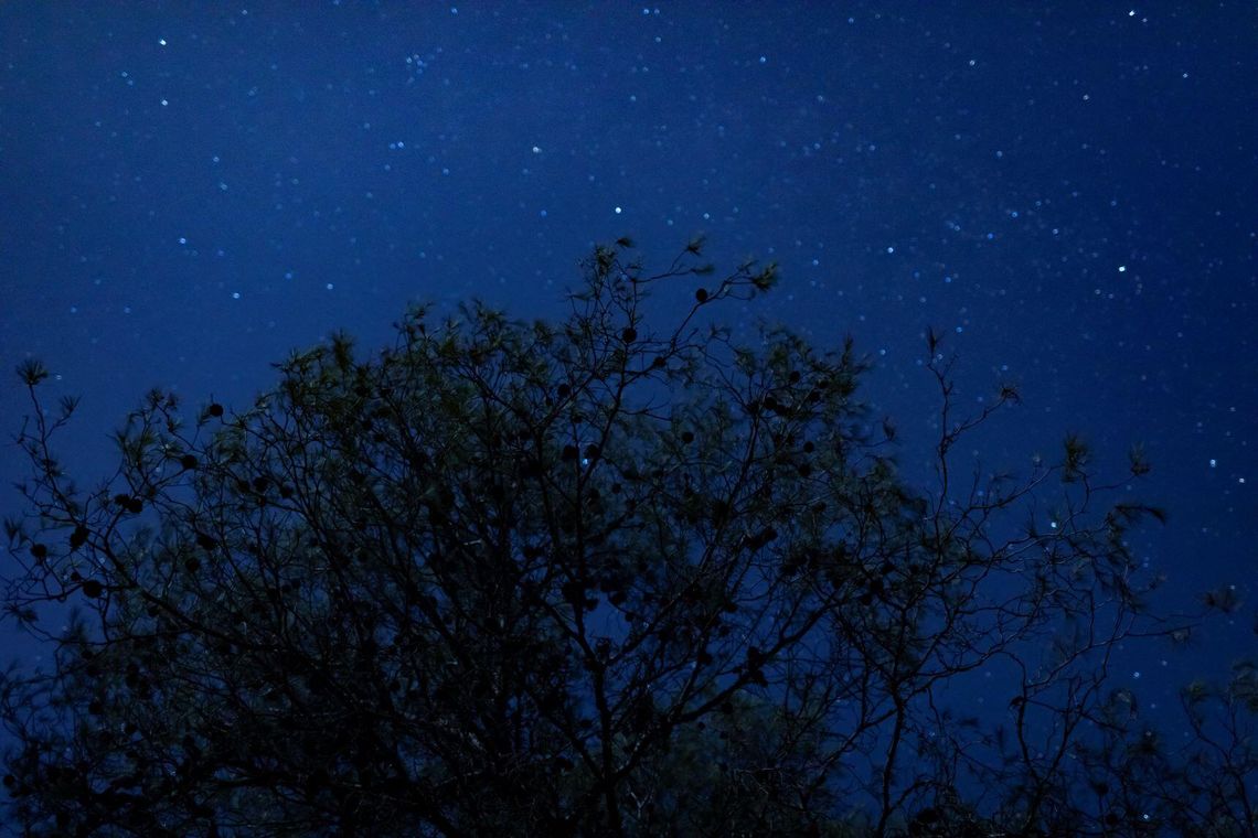 Starlinki nad regionem. Dziś wieczorem widowiskowy przelot satelitów